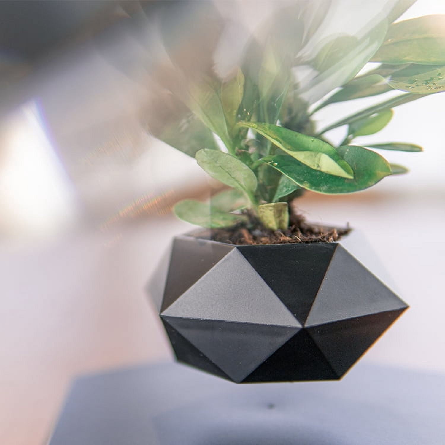 Dwellnix Smart Levitating Flower Plant Pot Home Decor Hovering Floating Magnic Plant Pot