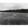 thumbnail image 2 of Man In A Wheat Field Holding A Sign History (24 x 18), 2 of 2