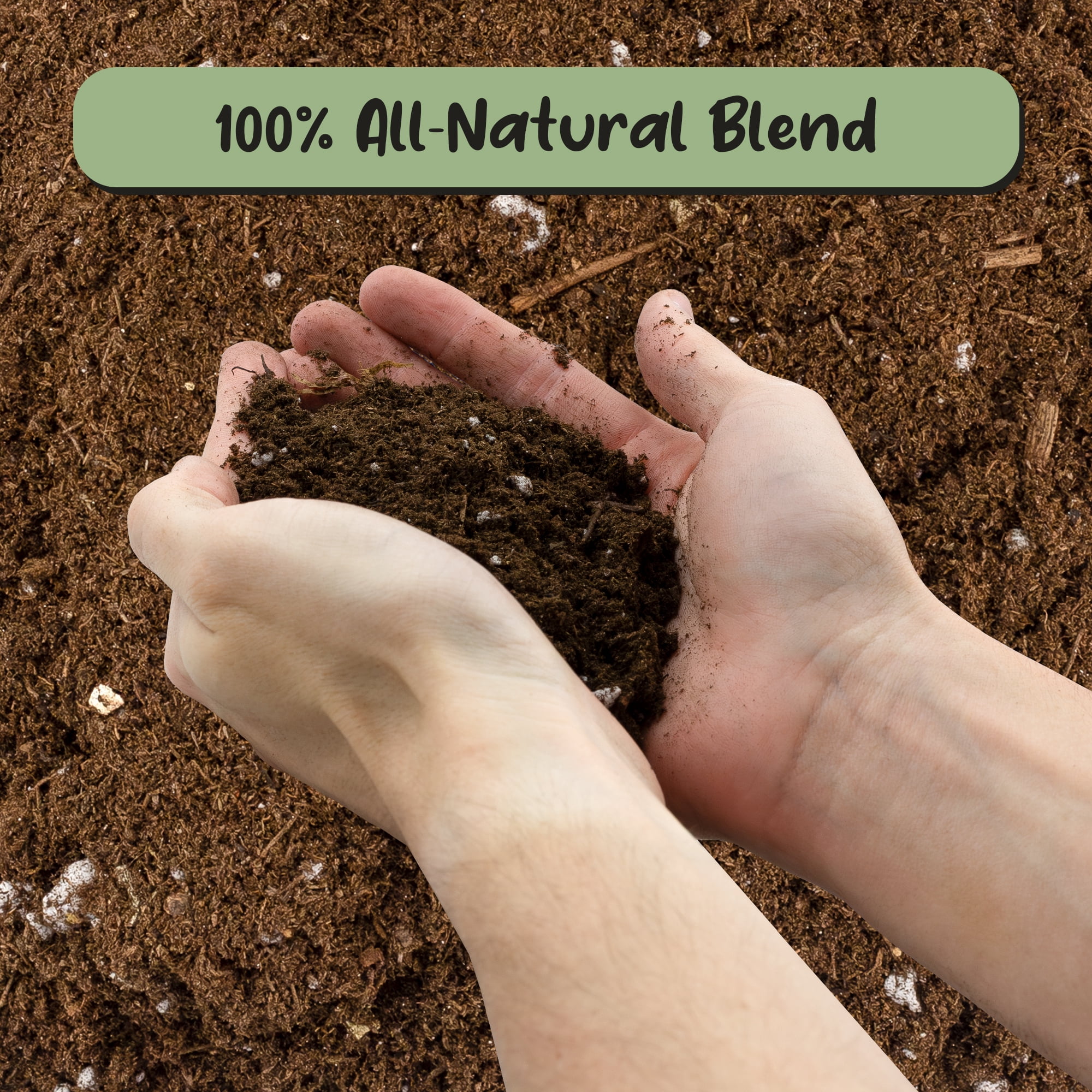 Soil Sunrise Plant Propagation Potting Mix (8 Quarts); Ideal Starter Mix for Rooting Plant Cuttings