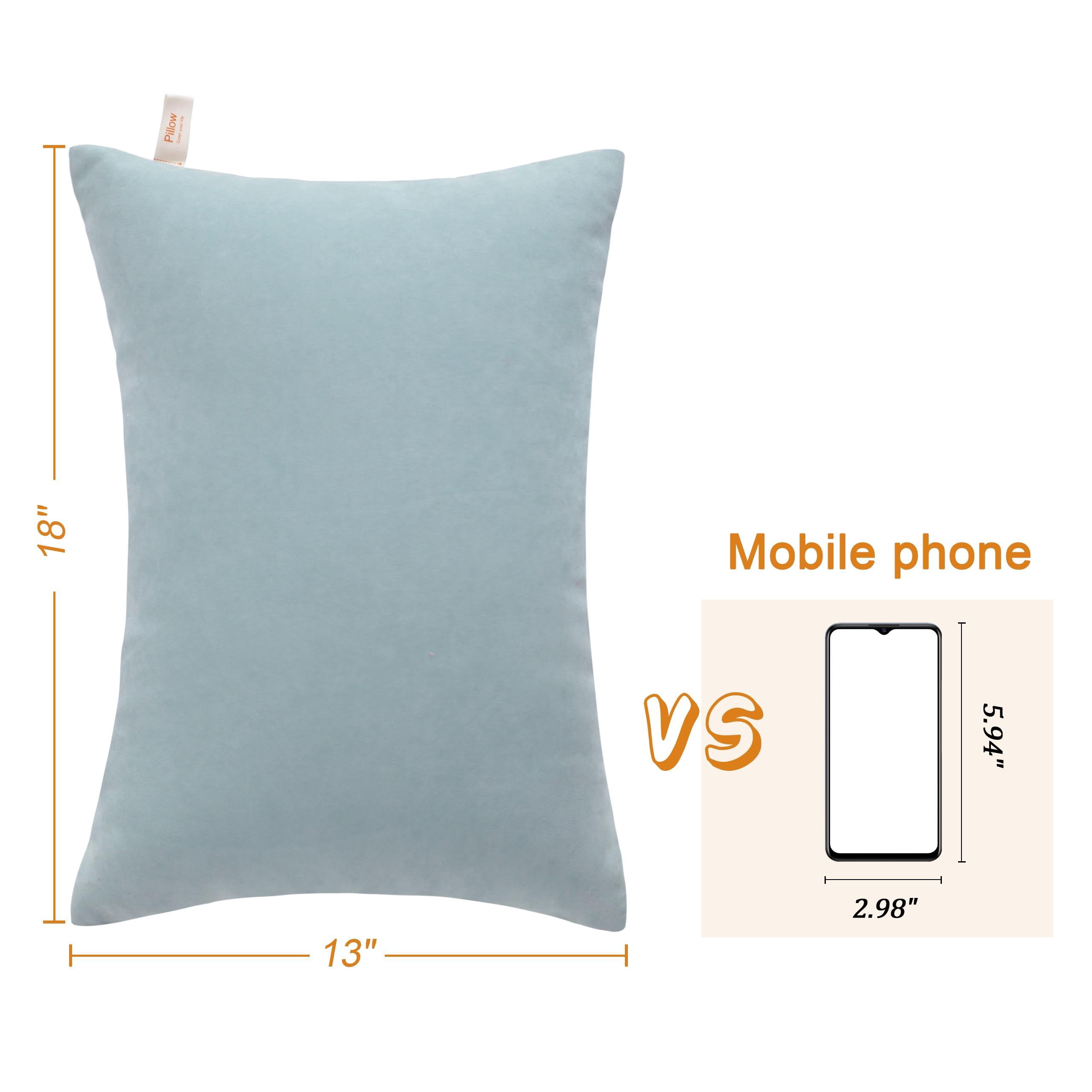 Organictune 2 Pack Microfiber Soft and Breathable Toddler Pillows for Sleeping, Washable Small Travel Pillows for Toddler Bed, 13" x 18" , Sea Green