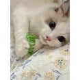 thumbnail image 4 of Cat Spring Toys (60 Pack), Playful Coils for Kittens,  Coil Plastic for Swatting, Biting, Hunting, and Active Healthy Play, Colorful 2 Inch Spirals, 4 of 5