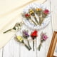 thumbnail image 4 of Uxcell 6 Piezas Mini Ramo de Flores Secas Rosa Flor Silvestre Natural con Tallo Decoración de Aliento de Bebé Planta Floral para Manualidades DIY, 4 of 6