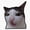 1pcs, variant on Cute Symmetrical Neko Atsume Japanese Crunchy Cat Sliced Potato Snack Box Decal For Kids Bottle Sticker