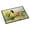 Blue Jay 3186, variant on Carolines Treasures DAC3277MAT 18 x 27 in. Unisex Swan Doormat