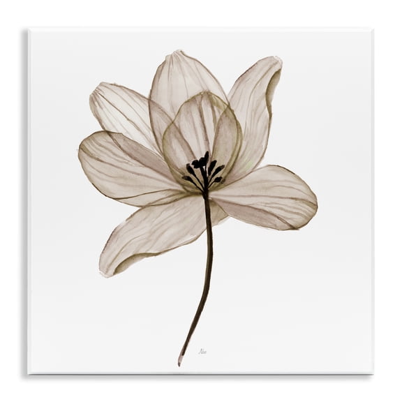 Stupell Industries Contemporary Wall Plaque Art, 12 x 12, by Nan