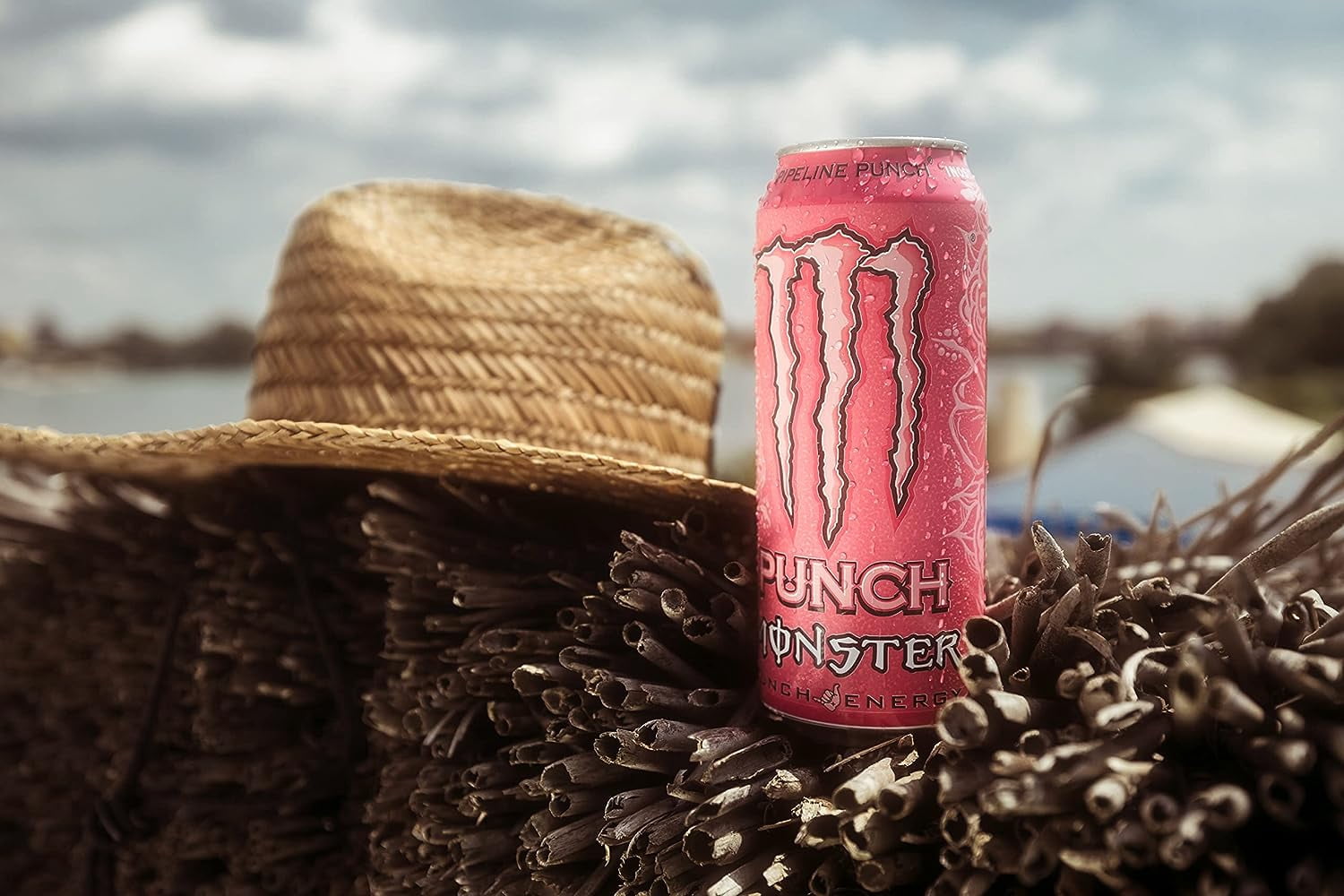 Monster Energy Juice Variety Pack, Pacific Punch and Pipeline 16oz