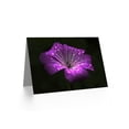 thumbnail image 2 of Waterdrops On Single Purple Flower Photo Birthday Greetings Card Plus Envelope Blank inside, 2 of 3