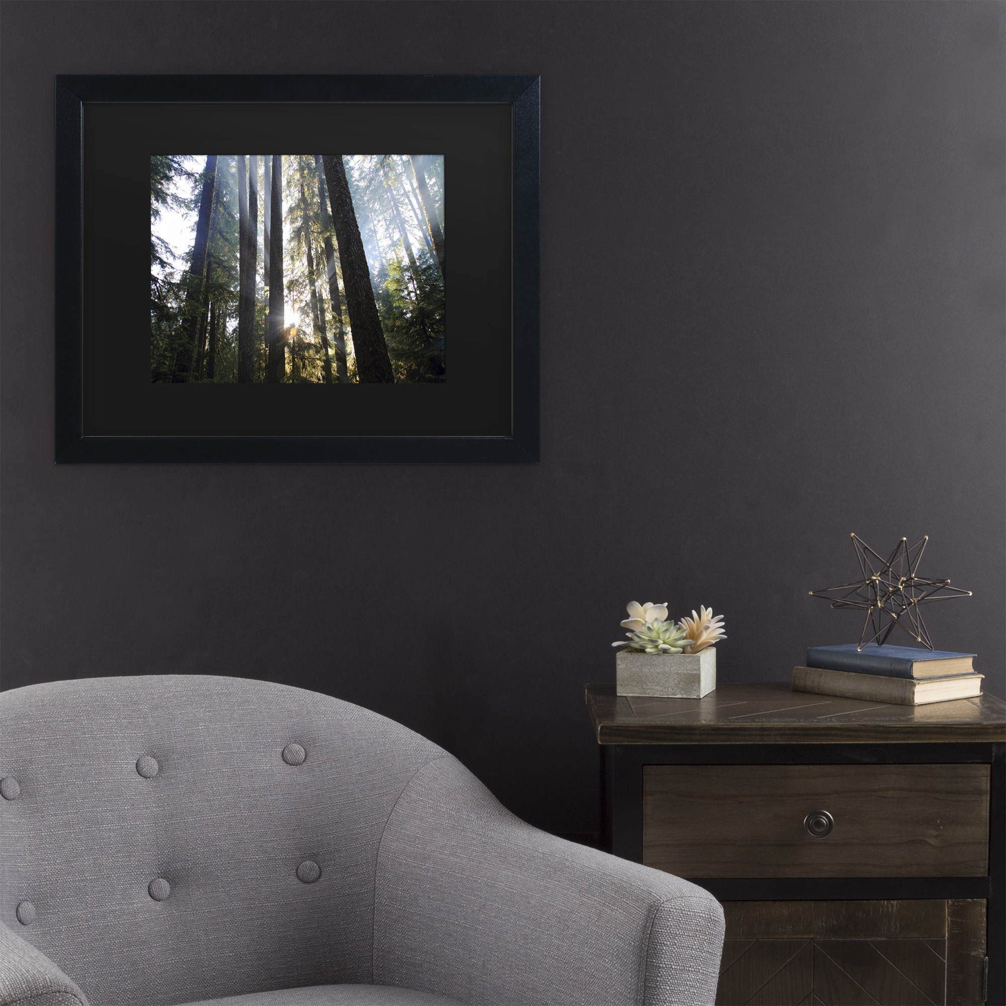 Trademark Fine Art 'Sunrays' Canvas Art by Pierre Leclerc