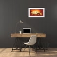 thumbnail image 3 of Jansma, Betty 18x11 White Modern Wood Framed Museum Art Print Titled - Water Lilies, 3 of 4