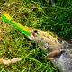 thumbnail image 1 of Cebo artificial de PVC 10cm/4in cebos falsos para herramienta de pesca al aire libre (verde), 1 of 5