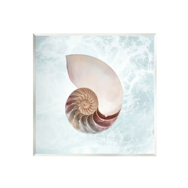 Stupell Industries Aquatic Nautilus Spiral Seashell Graphic Art Unframed Art Print Wall Art, Design by Marcus Prime