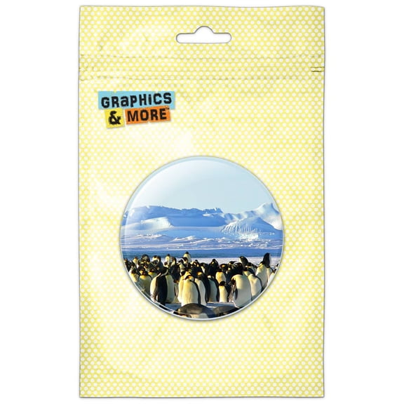 Emperor Penguins Arctic Pinback Button Pin Badge