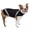 Black, variant on Pet Life ® 'Extreme Neoprene' Multi-Purpose Protective and Reflective Rash Guard Dog Coat