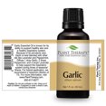 Plant Therapy Garlic Essential Oil 30 mL (1 fl. oz.) 100 Pure, Undiluted, Therapeutic Grade