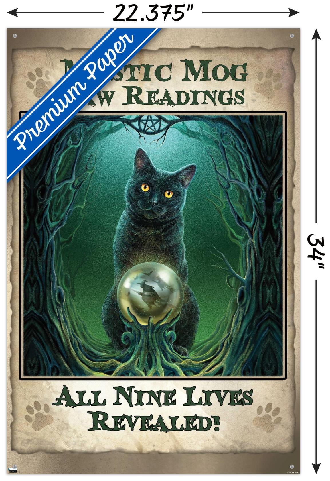 Lisa Parker - Mystic Mog Wall Poster with Pushpins, 22.375" x 34"