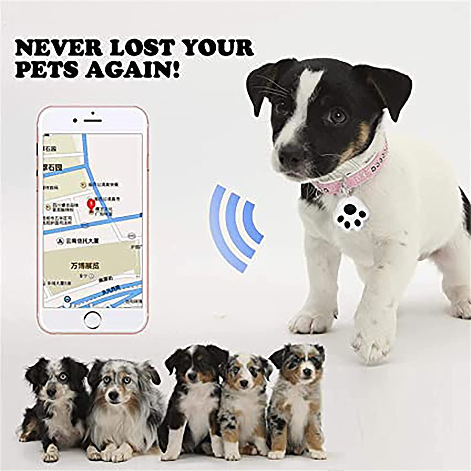 Dog gps device hotsell