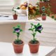 thumbnail image 5 of ¡Campaña con descuento!Plantas de casa de muñecas Exquisita artesanía Excelente material Adecuado para casa de muñecas 1/12 Decoración multifuncional Regalo perfecto para niños, 5 of 5