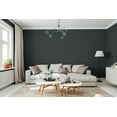 thumbnail image 3 of Rust-Oleum Sure Colour™ Paint + Primer, Interior Eggshell, Charcoal Black 3.78 L, 3 of 6