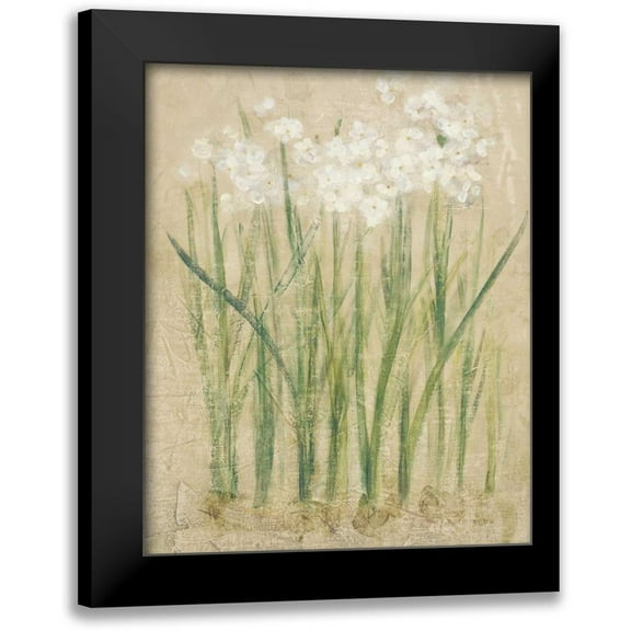 Blum, Cheri 12x14 Black Modern Framed Museum Art Print Titled - Narcissus Cool