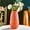Orange, variant on Plastic Glazed Vase - Green Faux Ceramic Flower Vase, Modern Decorative Vessel for Dried Flower Arrangement Living Room TV Cabinet