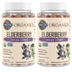 thumbnail image 1 of Elderberry Immune Gummy with Echinacea Zinc and Vitamin C Made with Real Fruit as a Real Food Herbal Supplement (120 Vegan Gummy Drops) Pack of 2, 1 of 4