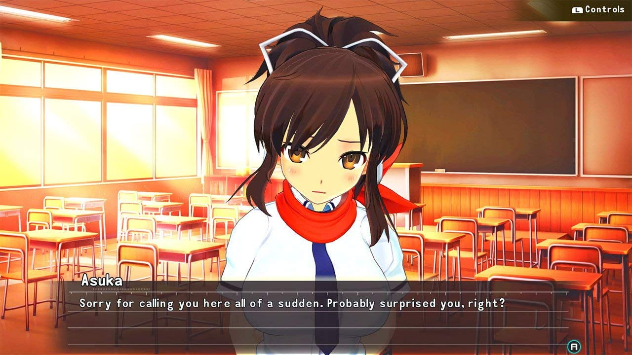 SENRAN KAGURA Reflexions