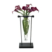 Danya B. Clear Amphora Vase on Swiveling Iron Stand with Finials and Hinge