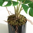 thumbnail image 4 of 15In Artificial Monstera Tree, Faux Floor Plant with 6 Leaves, Indoor Outdoor Decoration for Home Office Living Room Patio, Black Pot, 4 of 9