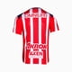 thumbnail image 3 of Jersey Playera Puma de las Chivas del Guadalajara Version Jugador Talla Mediano (M), 3 of 3