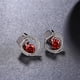thumbnail image 5 of Pendientes Circón Rojo Joyería de Moda para Muchacha Mujer Sunnimix Pendientes redondos del zircon, 5 of 8