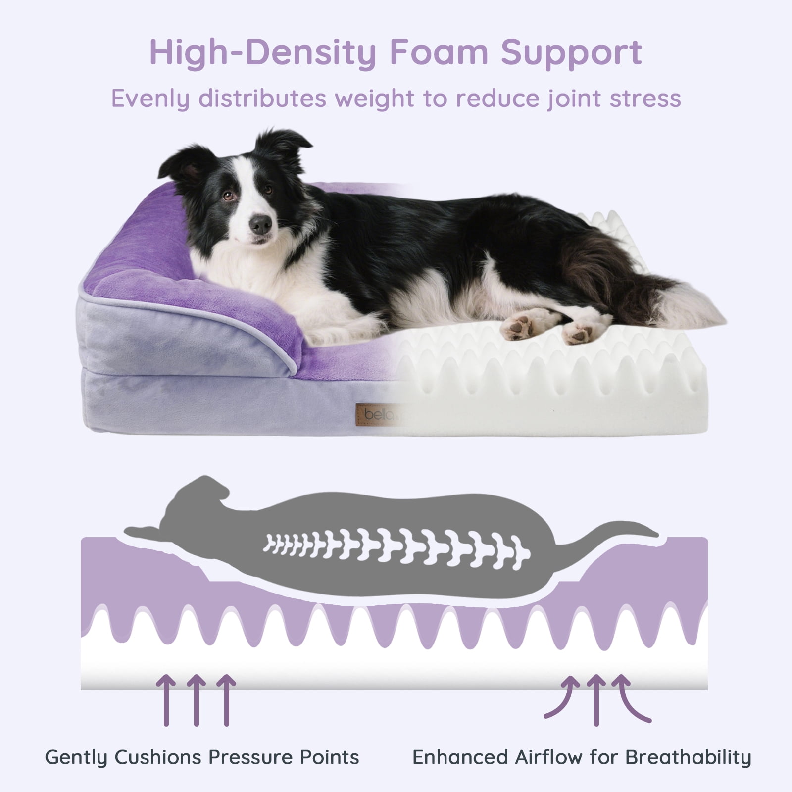 BELLA & PAL Orthopedic Dog Bed for Medium Small Dogs – No Assembly Needed, Egg-Crate Foam Dog Couch with Waterproof Liner, Washable Removable Cover, Non-Slip, 28"x23"x6.5", Purple