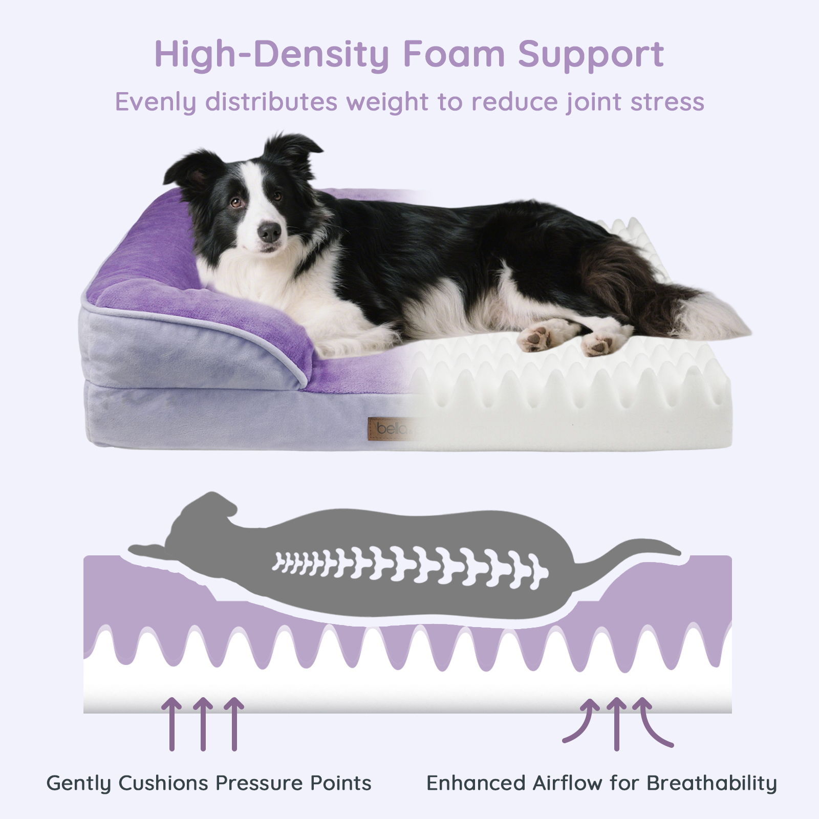 Bella & Pal Orthopedic Dog Bed, Large, Purple photo 4
