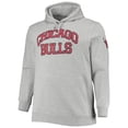 thumbnail image 2 of Men's Mitchell & Ness Scottie Pippen Heathered Gray Chicago Bulls Big & Tall Name & Number Pullover Hoodie, 2 of 4