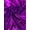 Purple, variant on Sedona Designz 58/60" Wide Foil Knit Fabric – 94% Polyester 6% Spandex DTY, All-Over Foil Finish – Soft Stretch Knit for Apparel, Costumes, Dancewear & Crafts