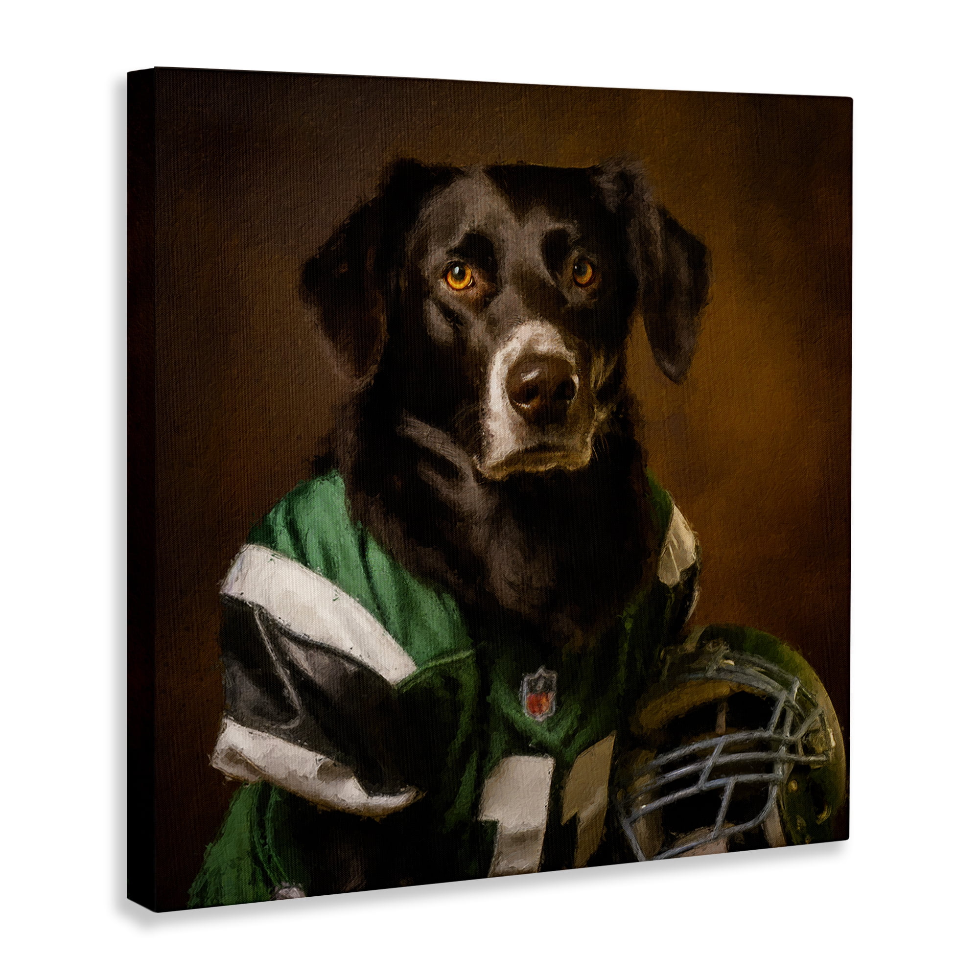 Stupell Industries Football Star Dog Animals Painting Wrapped Canvas Art Print Wall Art, 24 x 24