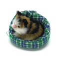 thumbnail image 4 of Coolayoung 4 Piezas Gato Durmiendo En Un Criadero Muñeca De Juguete Mini Gatito En La Almohadilla para Mascotas Decoración para Escritorio De Oficina Juguete De Mano para Regalo para Niños Niñas, 4 of 5