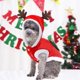 thumbnail image 5 of Ropa Navidad para Perros, Disfraz De Navidad para Mascotas, Ropa Navideña Cálida para Perros y Gatos, Ropa Navideña Suave para Perros con Astas para Fiestas de Navidad y Año Nuevo, 5 of 5
