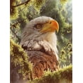 thumbnail image 2 of SUNSOUT INC - High and Mighty - 1000 pc Jigsaw Puzzle by Artist: Colin Bogle - MPN # 21816, 2 of 5