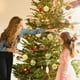 thumbnail image 5 of Set de adornos navideños inquebrantables de 12 piezas | Decoraciones de árbol navideño de plástico multiestilo – azul, dorado, rojo, verde menta, rosa | Ligero, fácil de colgar para casa, fiesta o, 5 of 7