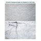 thumbnail image 1 of Placa de fondo de fotografía de papel impermeable de papel de fondo de grano de madera de doble cara Jumpingount HA5067-29B, 1 of 6