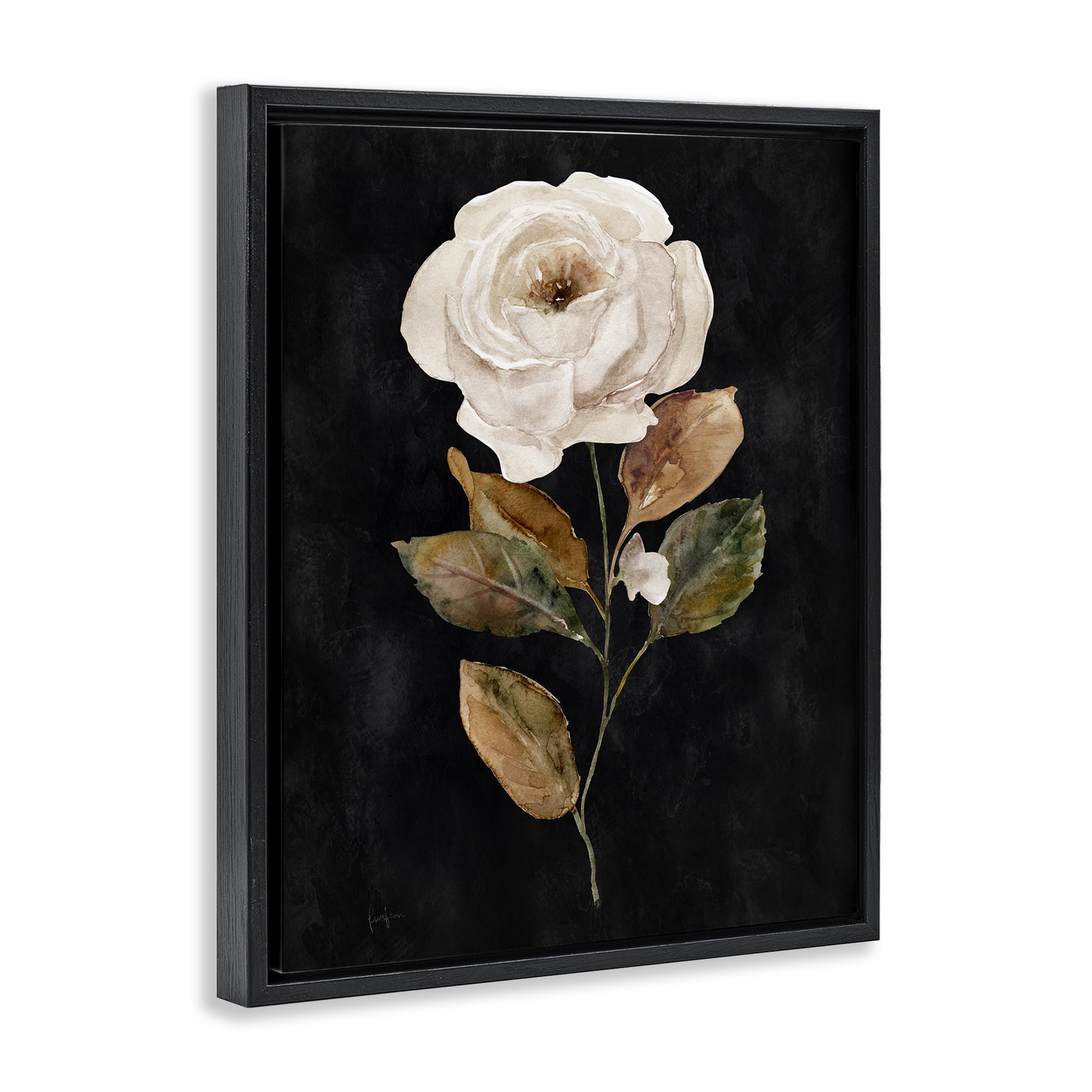 Stupell Industries White Rose on Black Plants & Flowers Painting Black Floater Framed Canvas Art Print Wall Art, 25 x 31