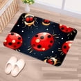 thumbnail image 5 of Ladybird Polyester Non-Slip Machine Washable Floor Mat: Outdoor Carpet Floor Mats, 5 of 6