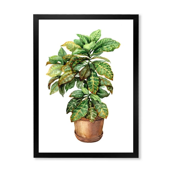 Designart 'Green Croton In Clay Flowerpot' Traditional Framed Art Print