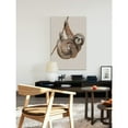 thumbnail image 4 of MARMONT HILL  - Handmade Hanging Sloth II Print on Wrapped Canvas 24 x 36, 4 of 5