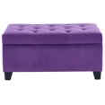 thumbnail image 1 of Ottomane de rangement en velours, moderne, violet, 1 of 6