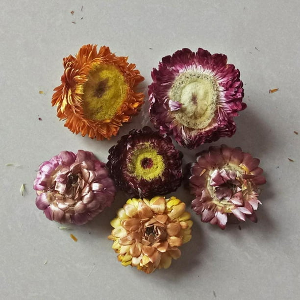 Dried Jasmine Flowers