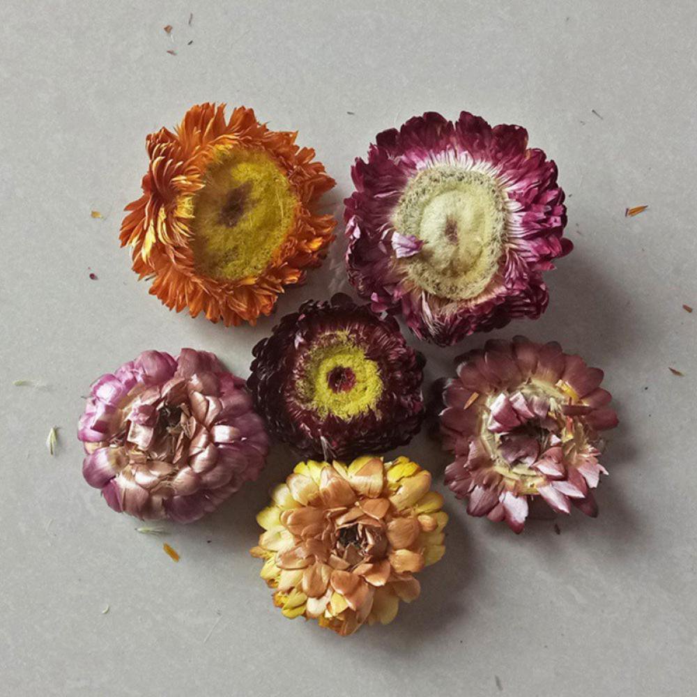 Natural Dried Flower Handmade Candle Making Aromatherapy Wax Piece