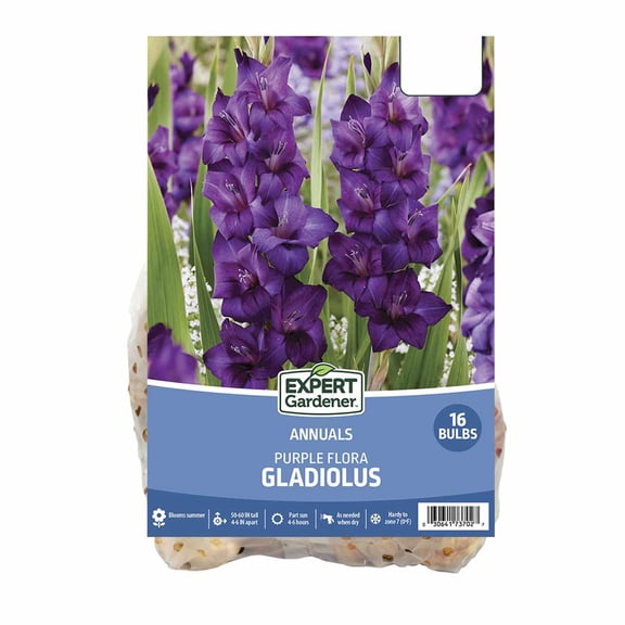 Expert Gardener Gladiolus Mix Set of 16 Dormant Bulbs Multi-Color Partial Sun Annual