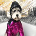 thumbnail image 3 of M Ropa de diseñador de lujo para perros, chaqueta de plumón, abrigo de invierno grueso y cálido, Vel, 3 of 5