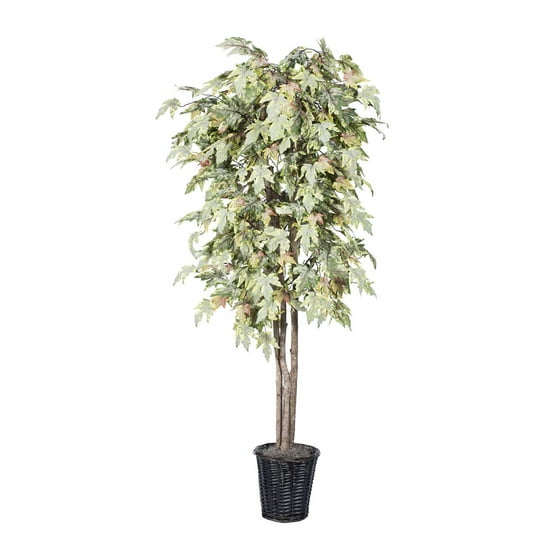 Vickerman 6' Artificial Frosted Maple Deluxe Set in Rattan Basket